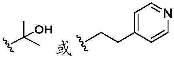 Figure BDA0002710254920000324