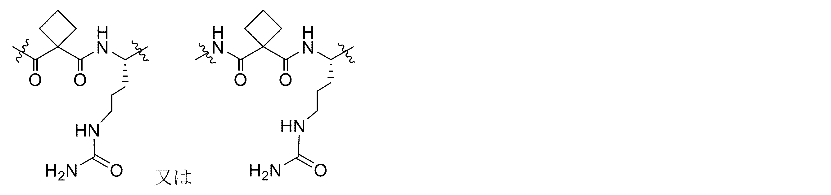 Figure 2022513198000022