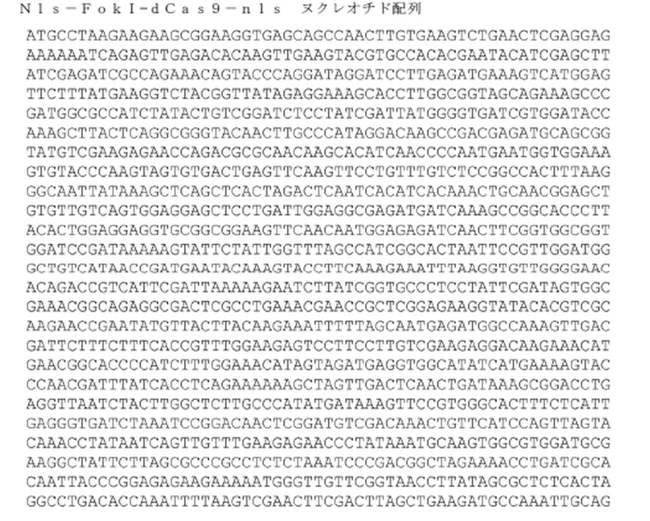 Figure 0007126588000023