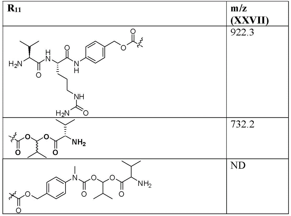 Figure BDA0003135424430001422