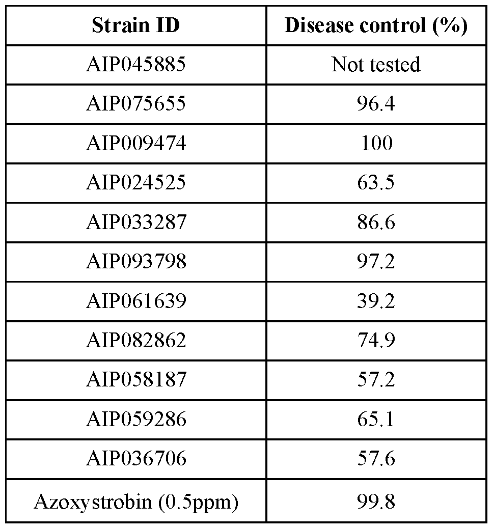Figure imgf000064_0001