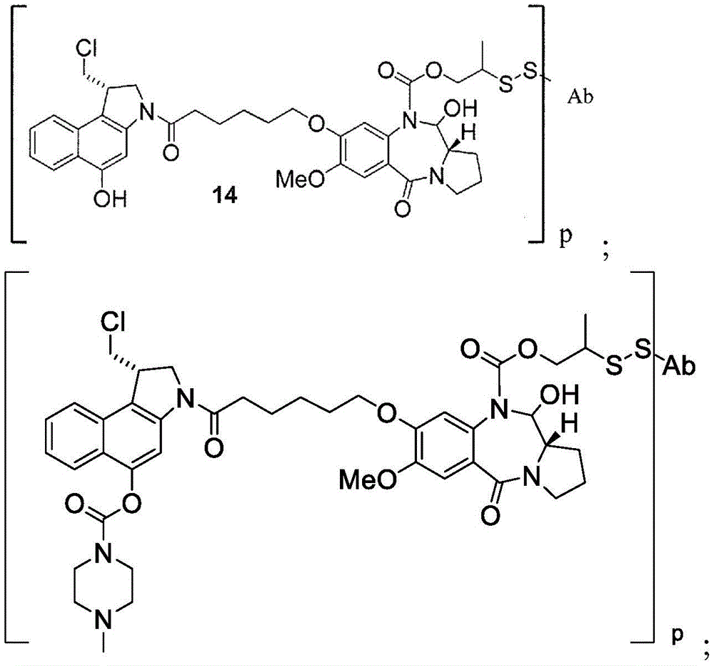 Figure BDA0003169464670000161
