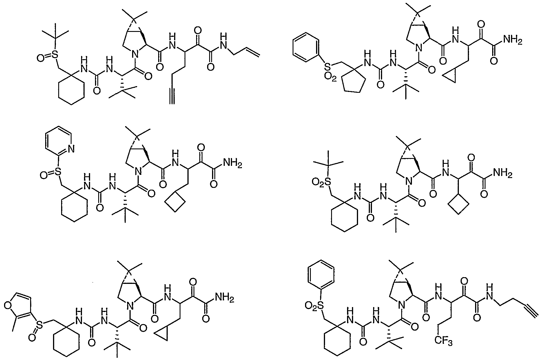 Figure imgf000557_0003