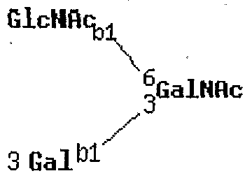 Figure imgf000207_0002