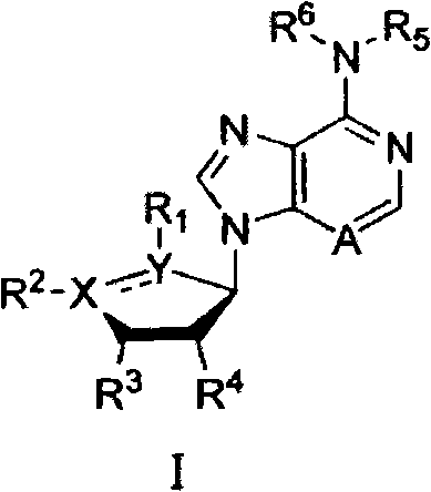 Figure FPA00001332690600011