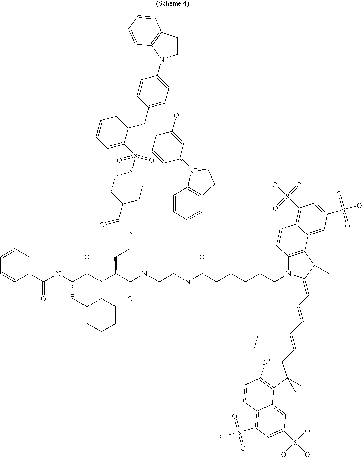Figure US20100189658A1-20100729-C00024