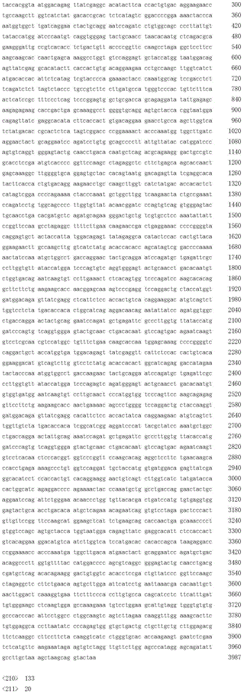 Figure BDA0002717577820006231