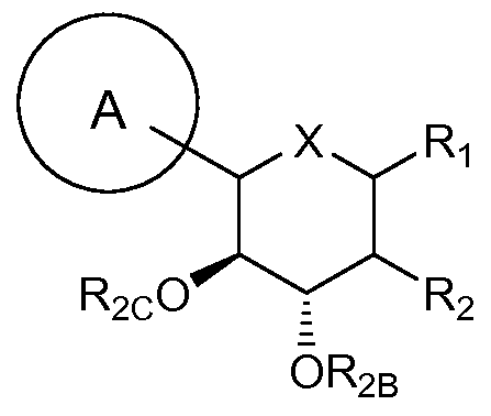 Figure imgf000003_0001