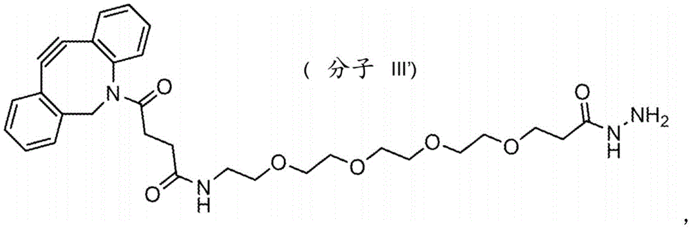 Figure BDA0004086040580000392