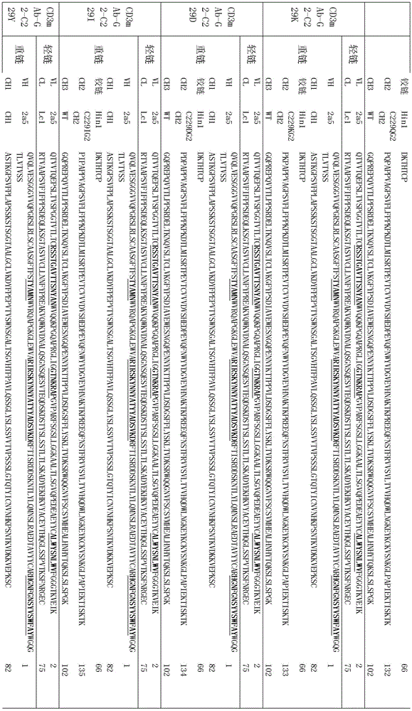 Figure BDA0002336612250001451