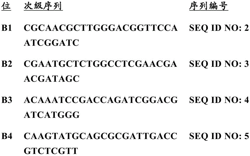 Figure BDA0002497625390000521
