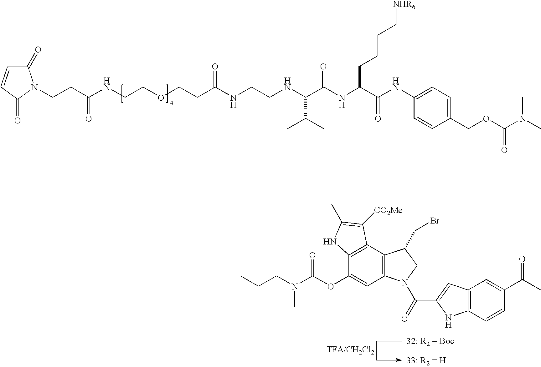 Figure US20080279868A1-20081113-C00098