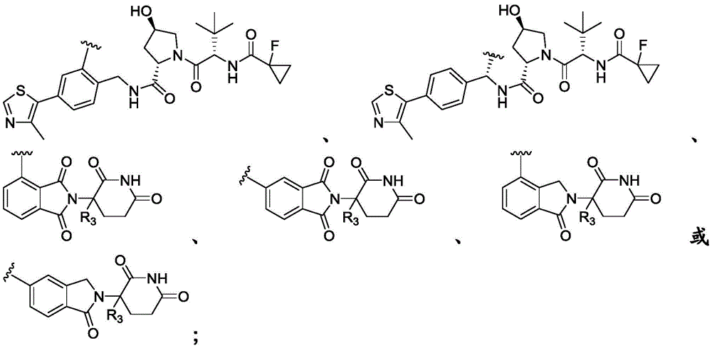 Figure FDA0003293294500000031