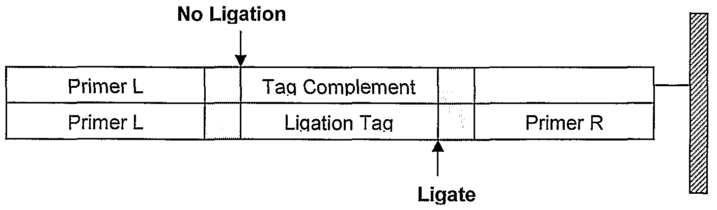 Figure imgf000025_0002