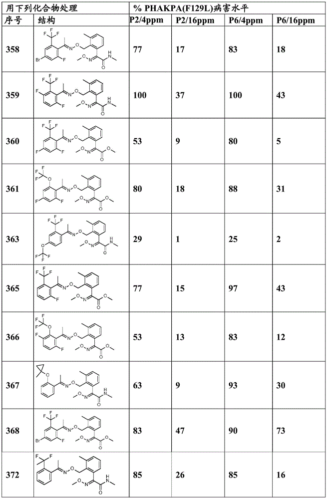 Figure BDA0003914530940001221