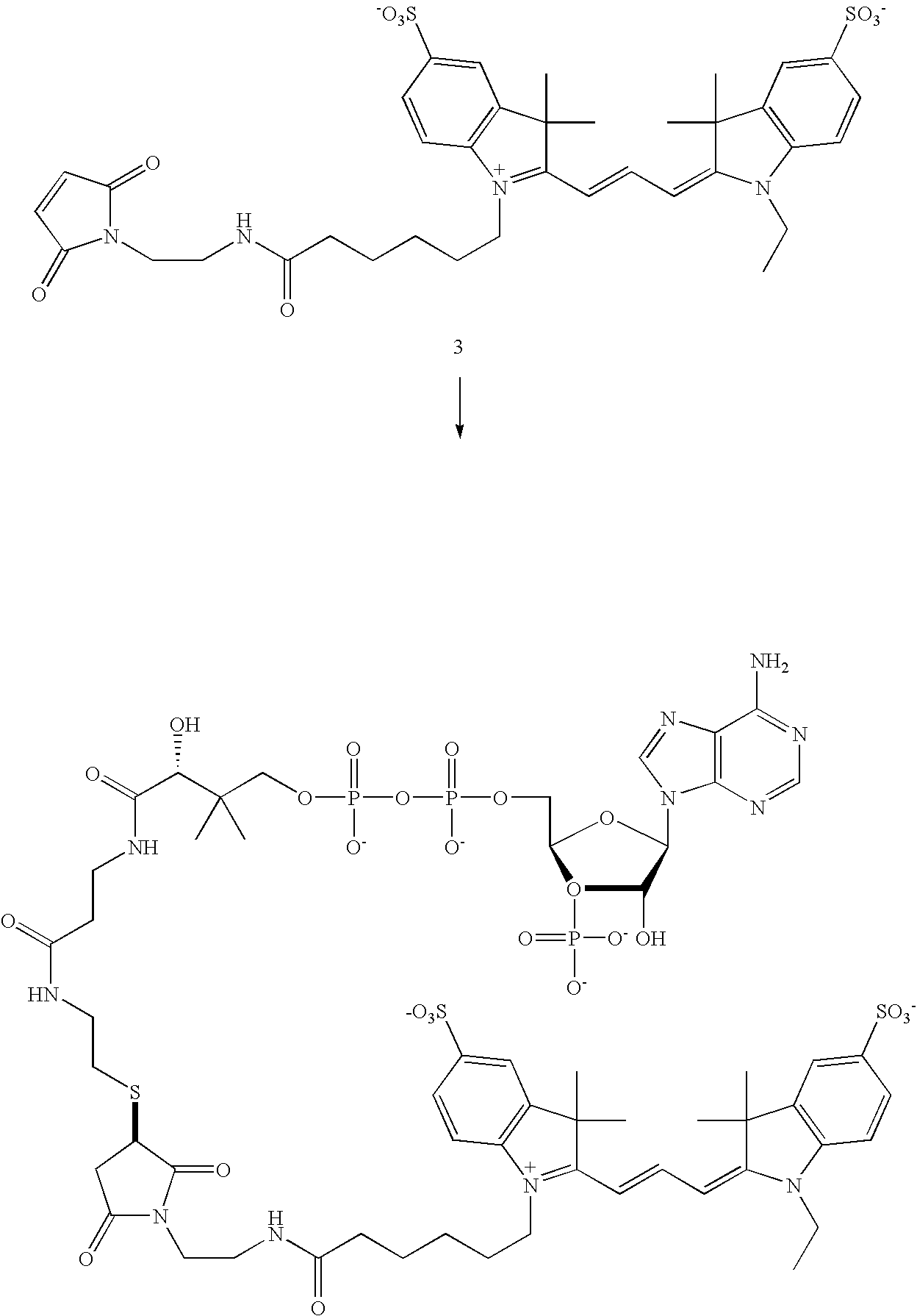 Figure US20100173384A1-20100708-C00006
