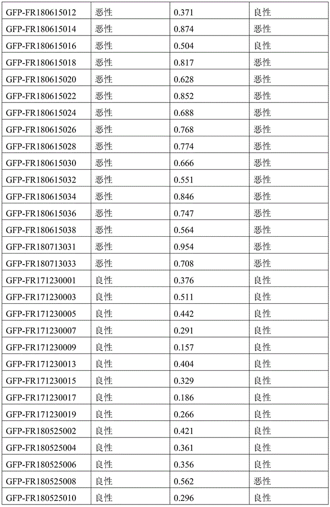 Figure BDA0003401061840000631