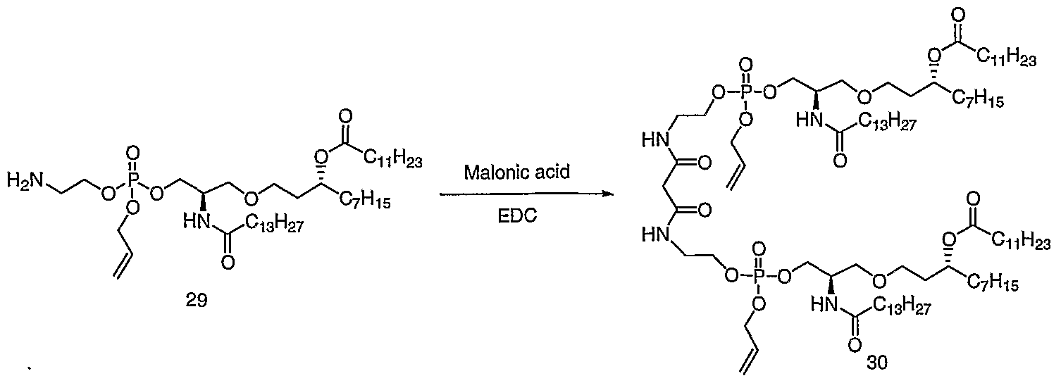 Figure imgf000023_0003