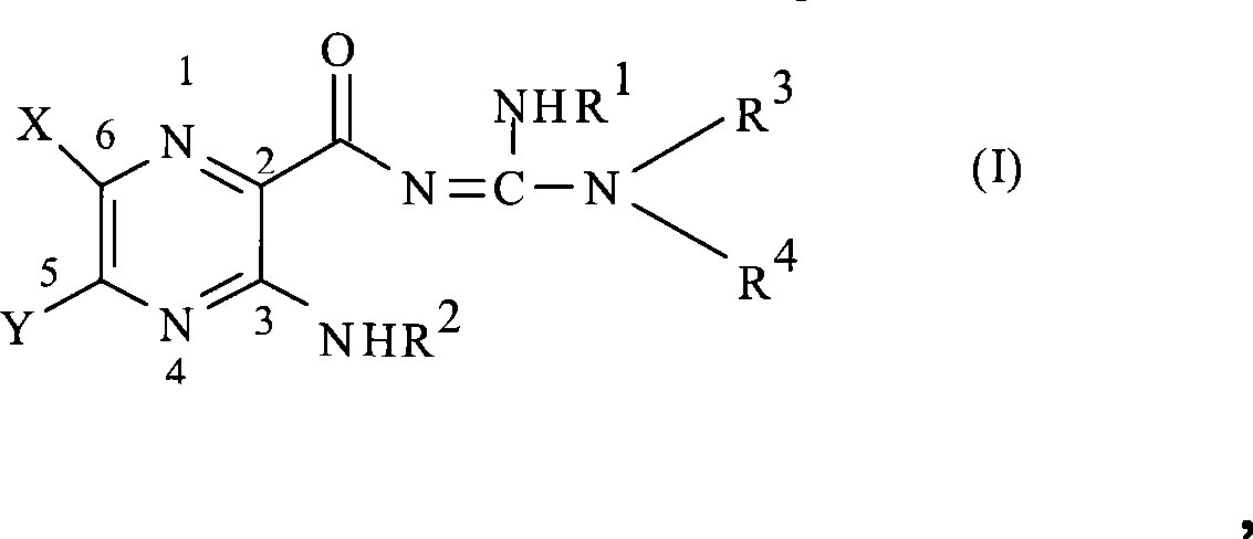 Figure A200780033062C00021