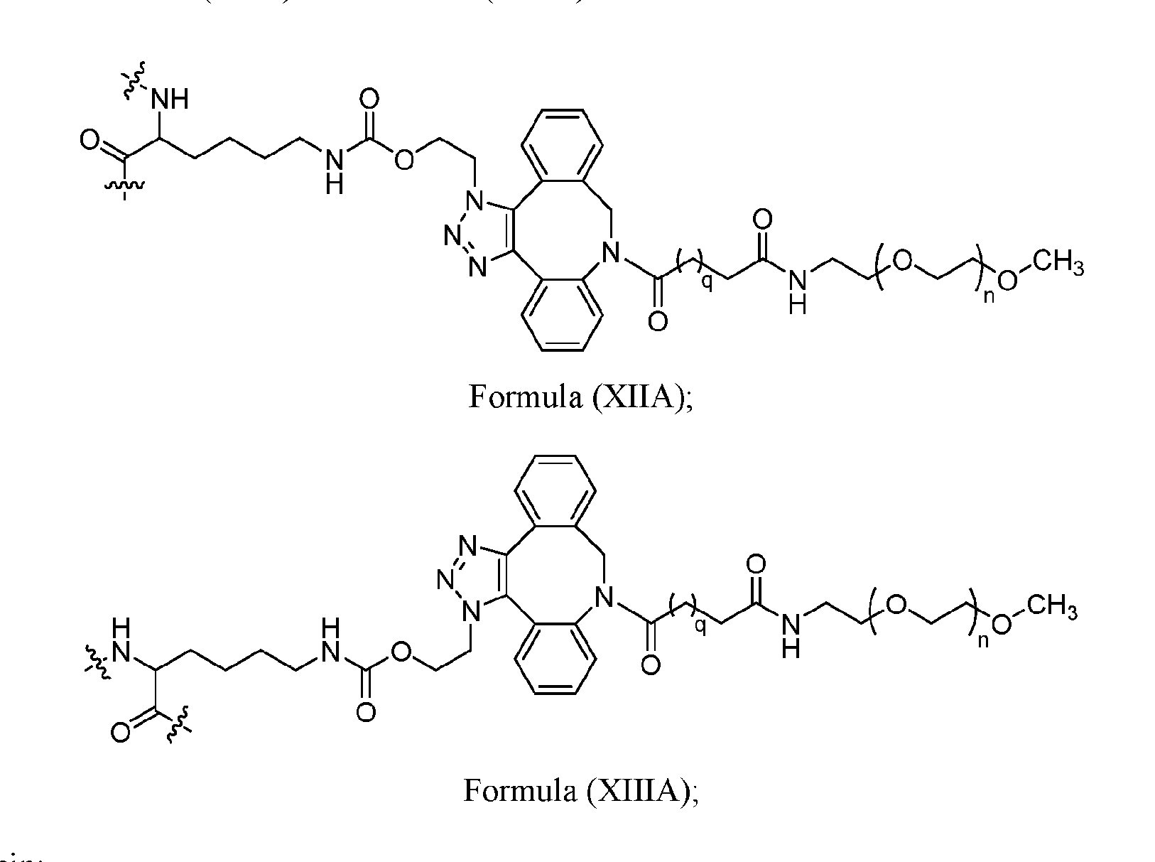 Figure imgf000091_0001