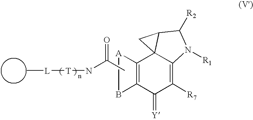 Figure US06909006-20050621-C00012