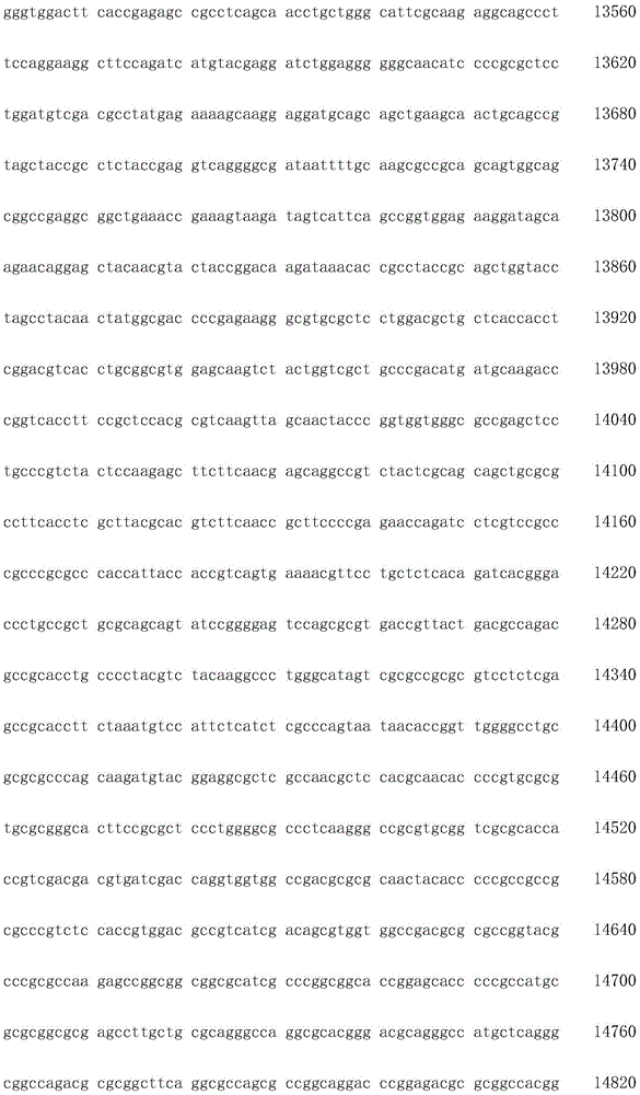 Figure IDA0002872168960001421