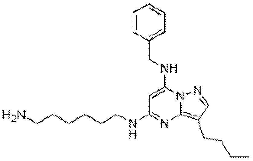 Figure imgf000182_0003