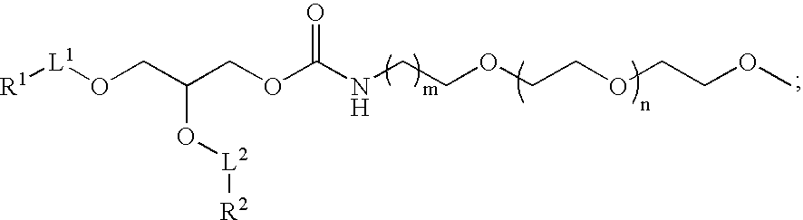 Figure US20090023673A1-20090122-C00175