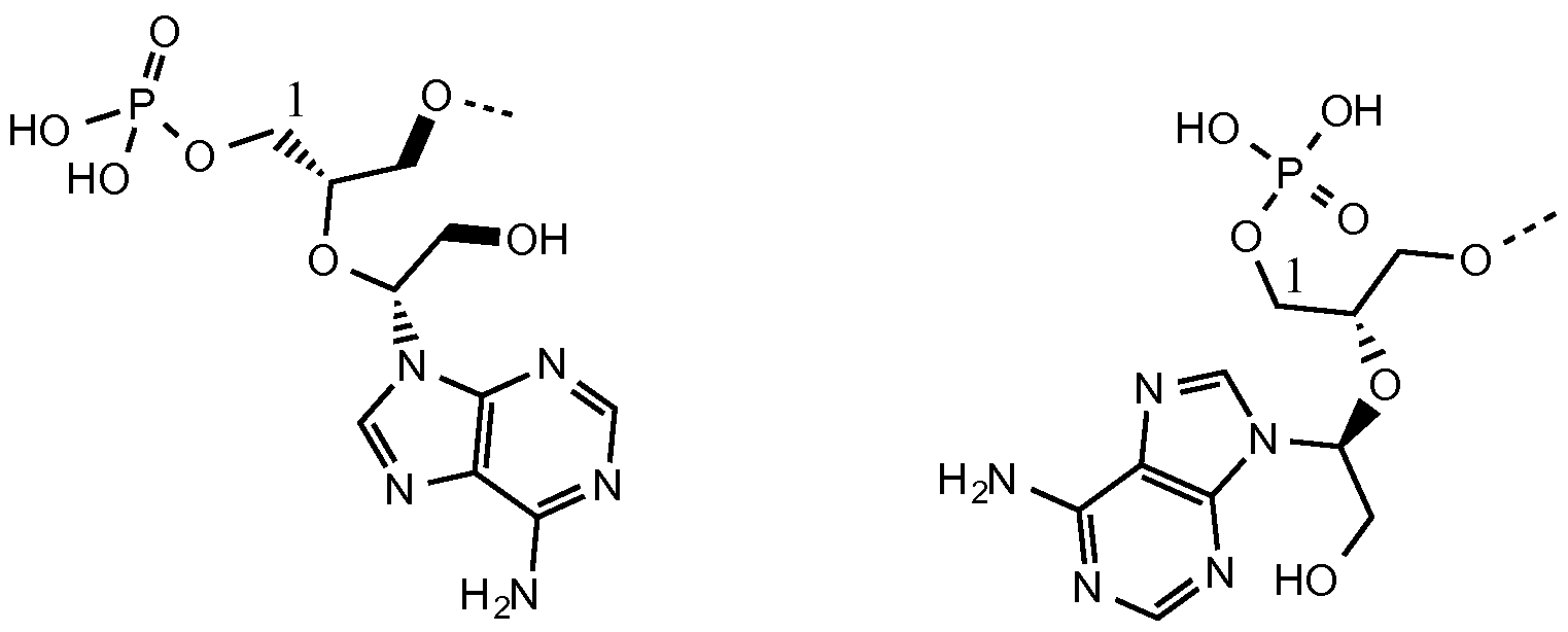 Figure imgf000028_0001