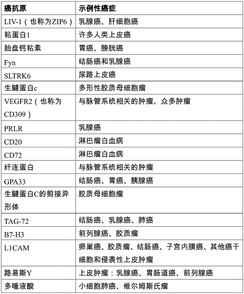 Figure BDA0002763179510000311