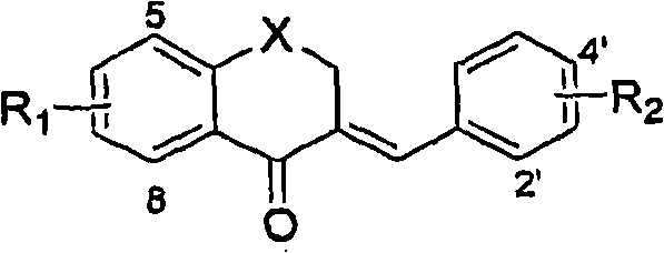 Figure G2006800530779D01751