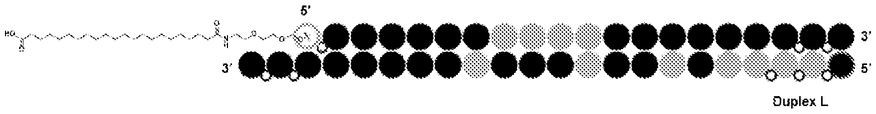 Figure imgf000246_0001