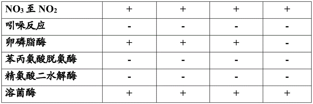 Figure BDA0003691381260001081