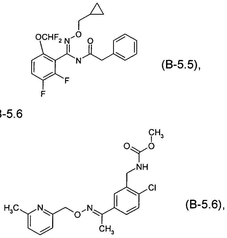 Figure imgf000010_0004