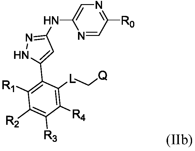 Figure PCTCN2020113233-appb-100004