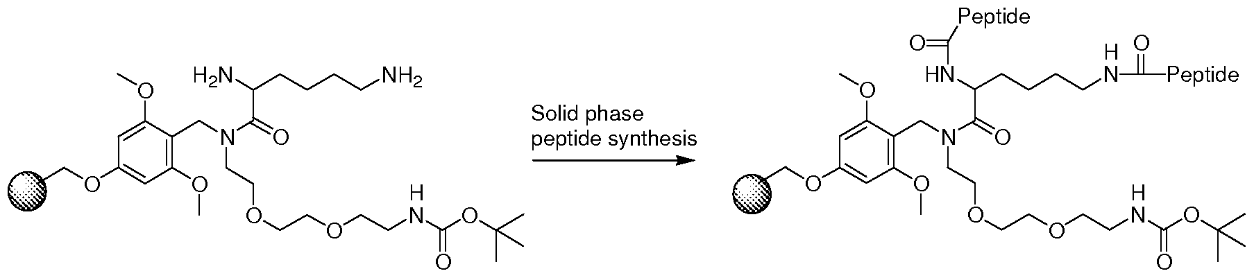 Figure imgf000067_0002