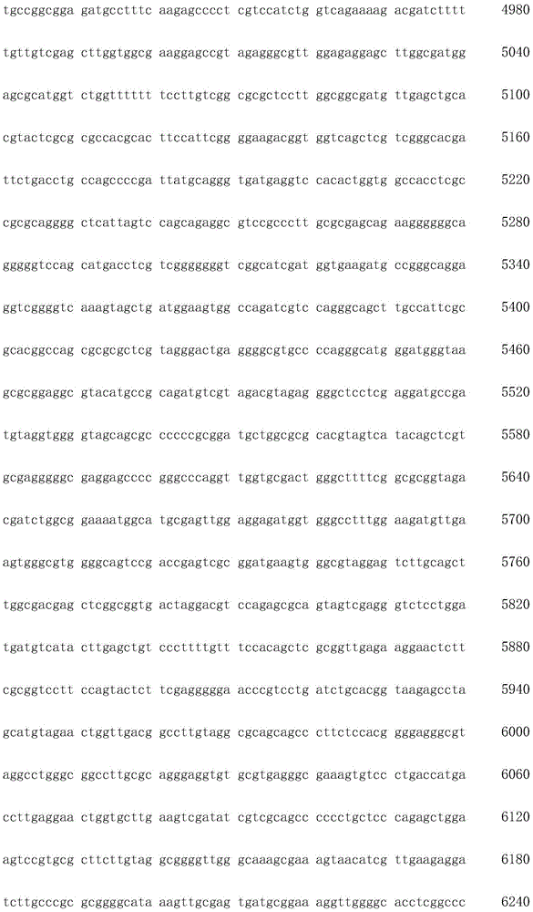 Figure IDA0002872168960001851