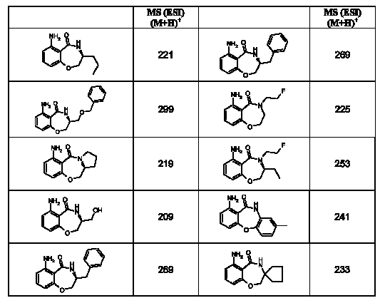 Figure 112007017455351-pct00033