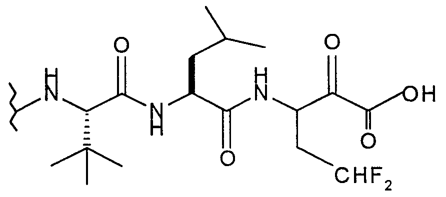 Figure imgf000023_0004
