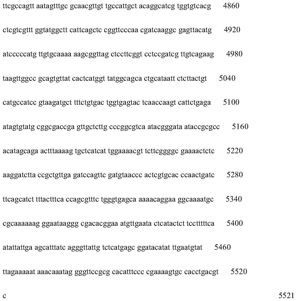 Figure IDA0000827411970000541