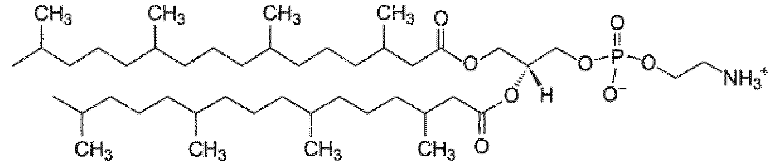 Figure imgf000052_0001