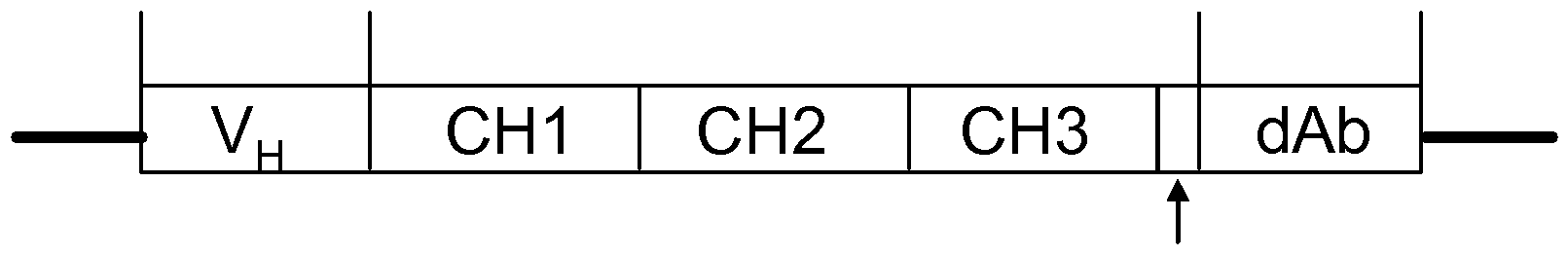 Figure imgf000072_0001