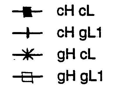 Figure imgf000020_0004