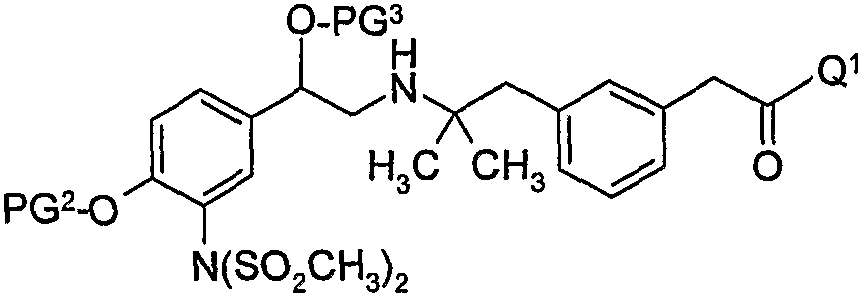 Figure 112008003947162-PCT00013