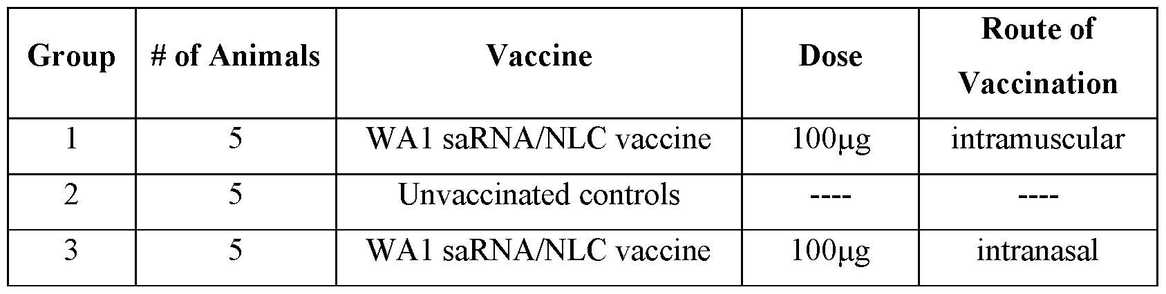 Figure imgf000050_0001