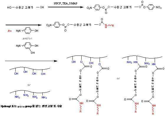 Figure 112009054697600-pat00017