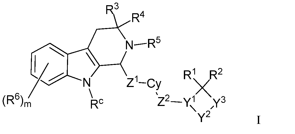 Figure imgf000002_0001