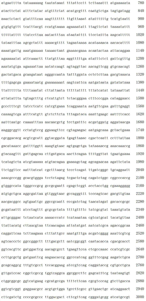 Figure IDA00001909815500151