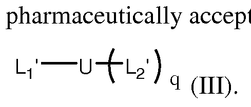 Figure imgf000004_0001