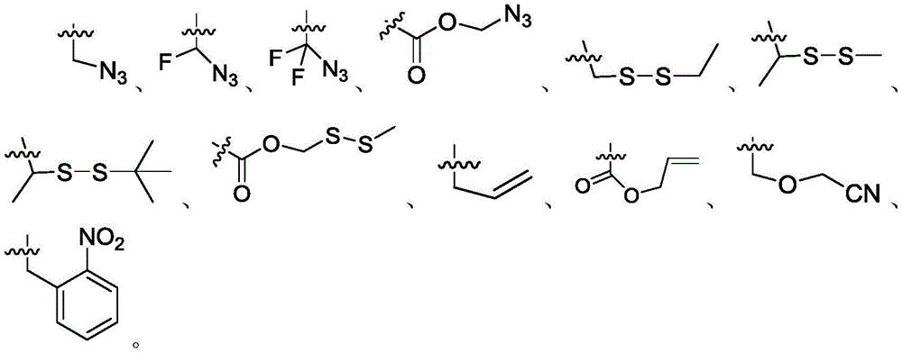 Figure BDA0003852928080000081